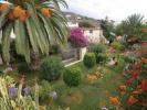 Photo of 7 Bedroom - Hotel in Los Menores, Tenerife