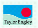 Taylor Engley - Hailsham (Sales)